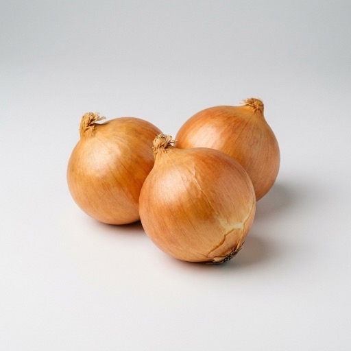 양파